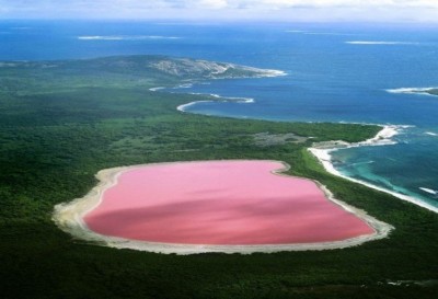 Hồ nước hồng Pink lake Hillier