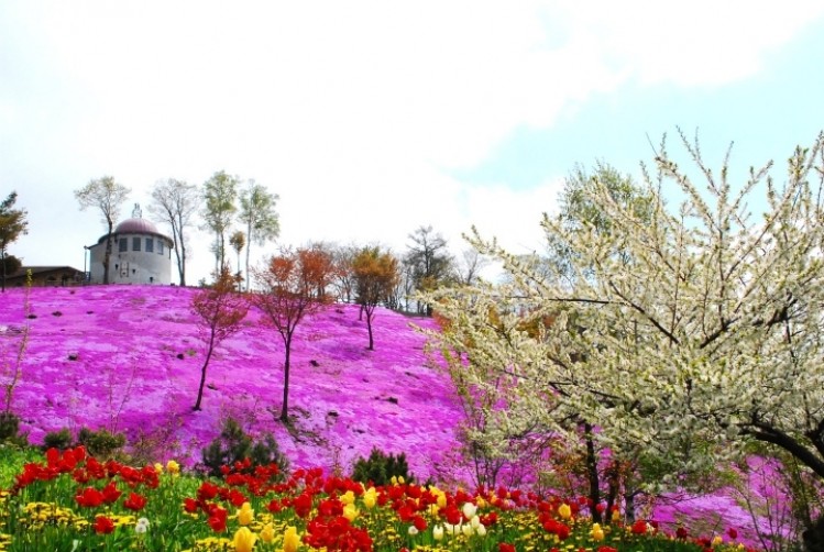 Lộng lẫy những mùa hoa ở Monbetsu