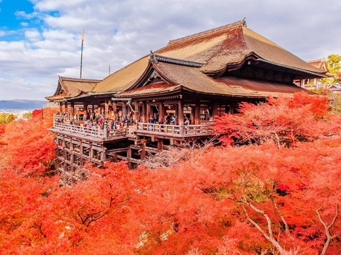 Vì sao Kyoto là thành phố du lịch tuyệt nhất thế giới?