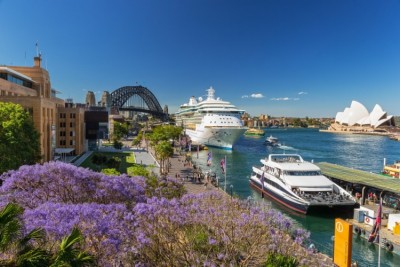 Sydney mùa hoa phượng tím