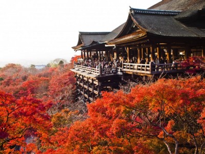 Rực rỡ mùa thu Nhật Bản